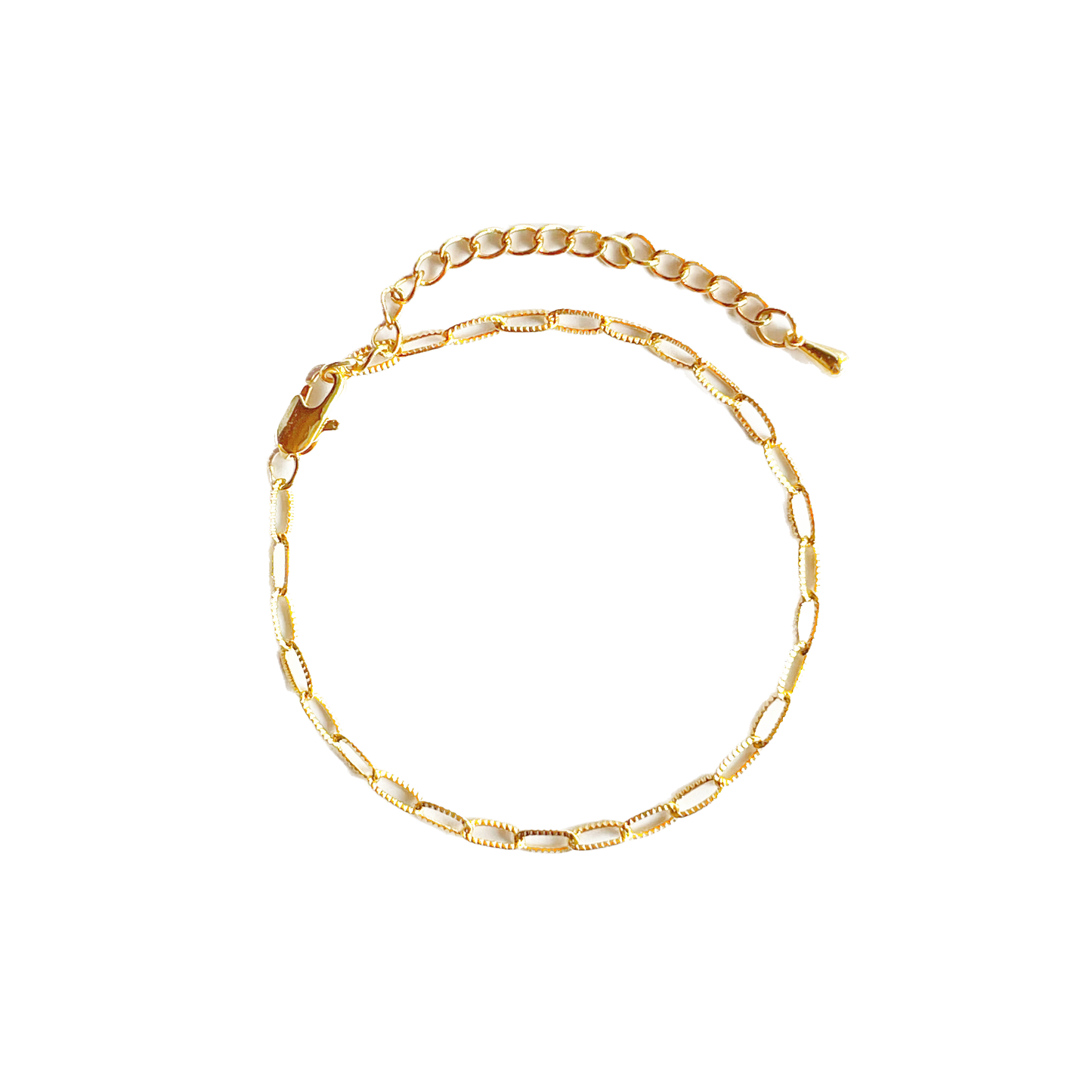 Link Chain Anklet